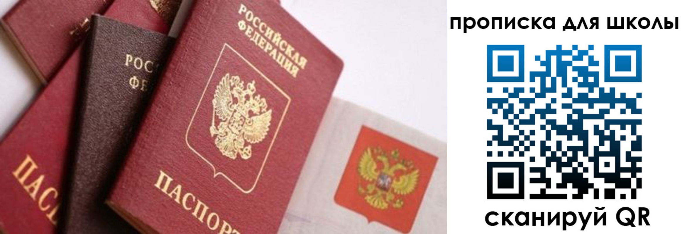 прописка поиск в Новоаннинском